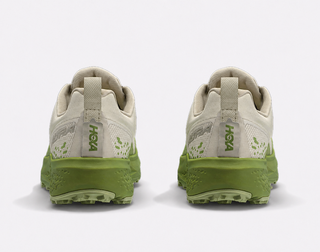 Timp 6 GTX