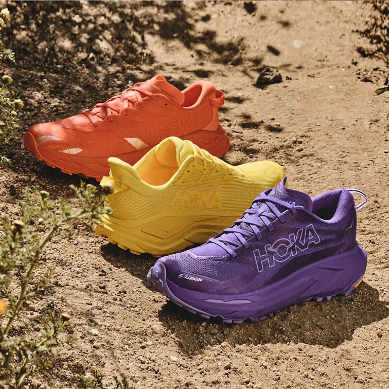 New in Trail